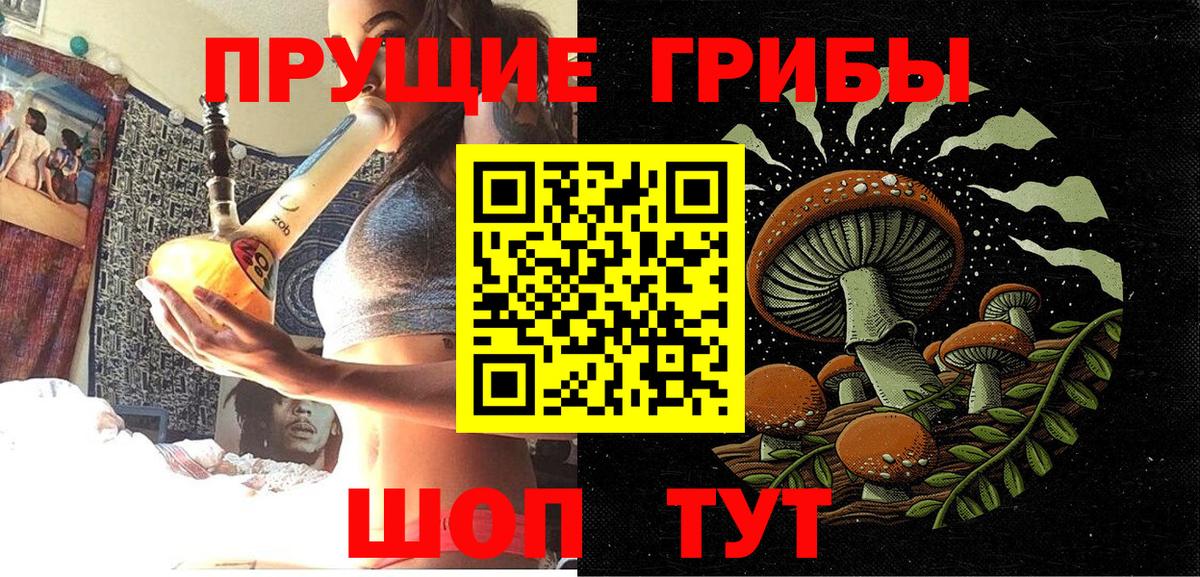 Юрга  Псилоцибиновые грибы GOLDEN TEACHER  Вход с VPN  купить закладку  Псилоцибиновые грибы Psilocybine cubensis 