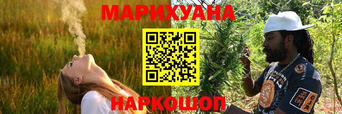 Каннабис индика Юрга